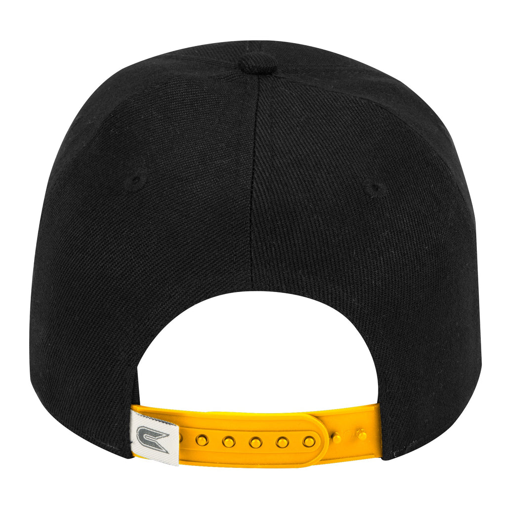 Bioelectric Cap