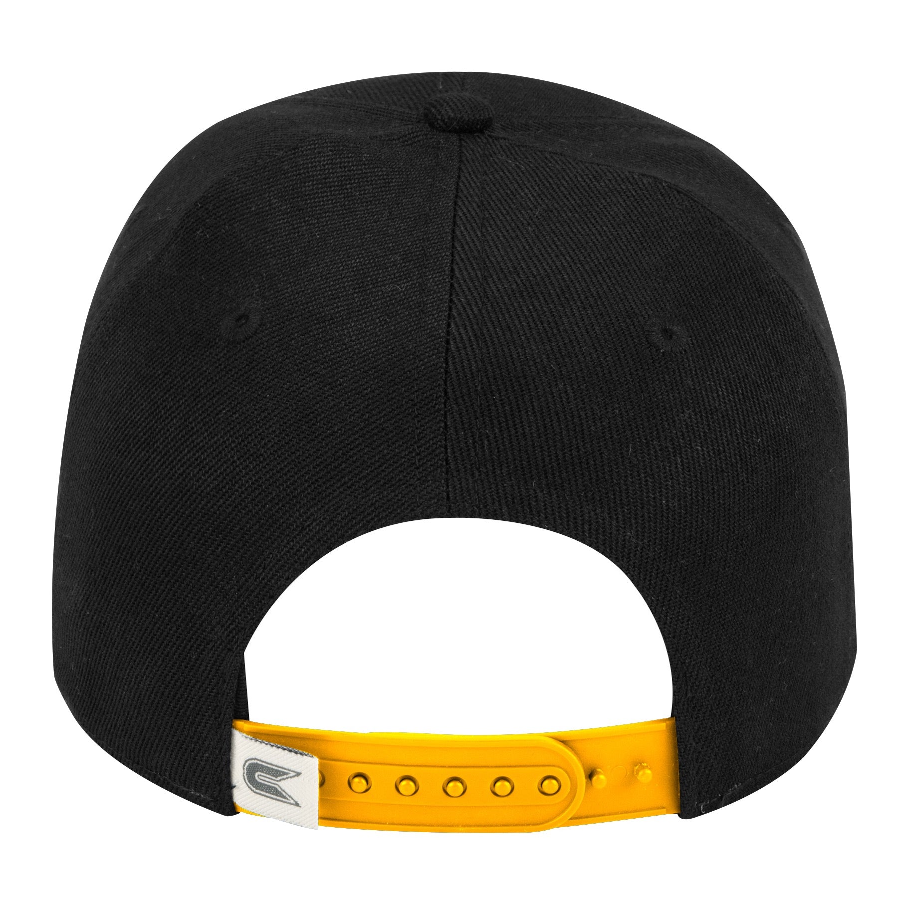 Bioelectric Cap