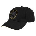Bioelectric Cap