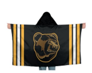 Pooh Bear Hoodie Flag