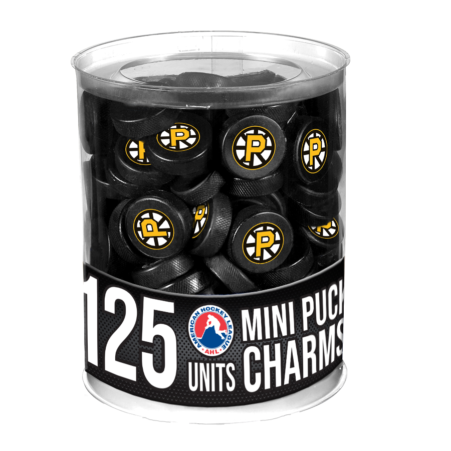 Mini Puck - Providence Spoked P