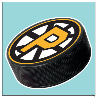 4X4 Decal - P-Bruins Puck