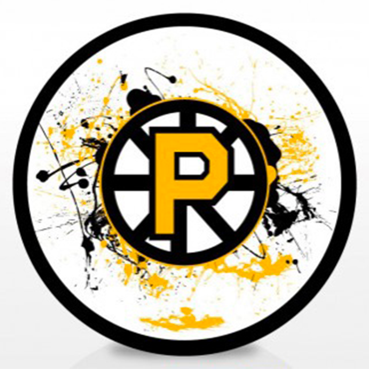 Splatz Puck