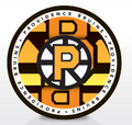 Medallion Puck